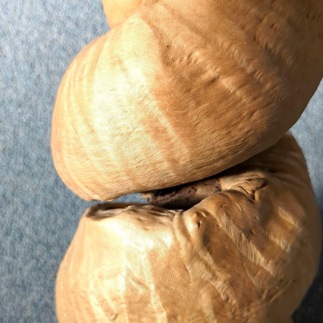天然木 自然造形 蛇形希少 螺旋状 ねじれ木株 アート作品 高さ約61cm