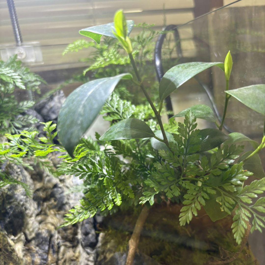 滝の流れるアクアテラリウム　No.1143