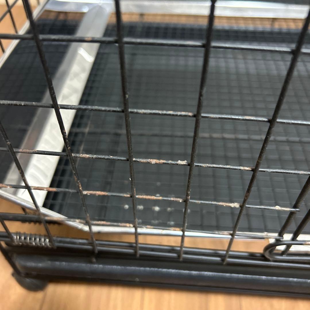 うさぎのしっぽ　プロケージ60 小動物