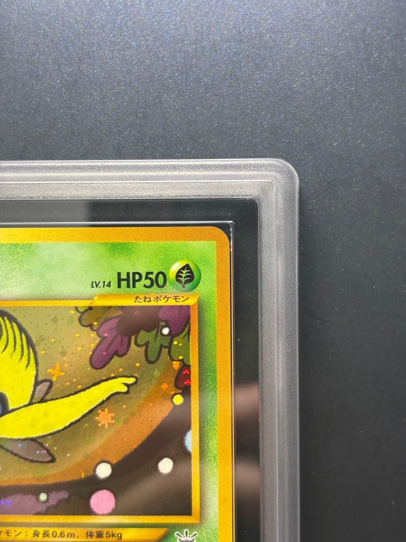 【ARS10】セレビィ 旧裏 プレミアムファイル3