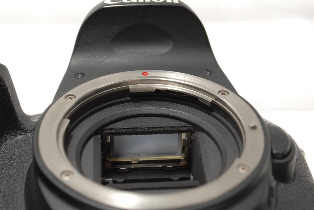 ☘️高画質✨Wi-Fi搭載☘️Canon EOS 9000D 超望遠ダブルレンズ