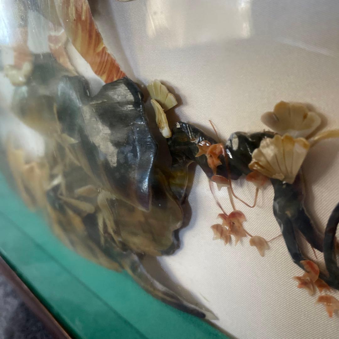 空山の額　〜貝殻で岩に立つ虎を表現している。値下げ交渉してください。