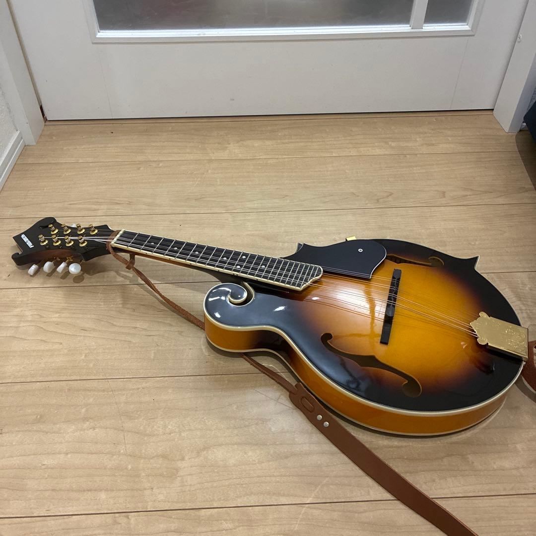 プレイテック　Playtech F型マンドリン　PFM10F ギグバック付き！