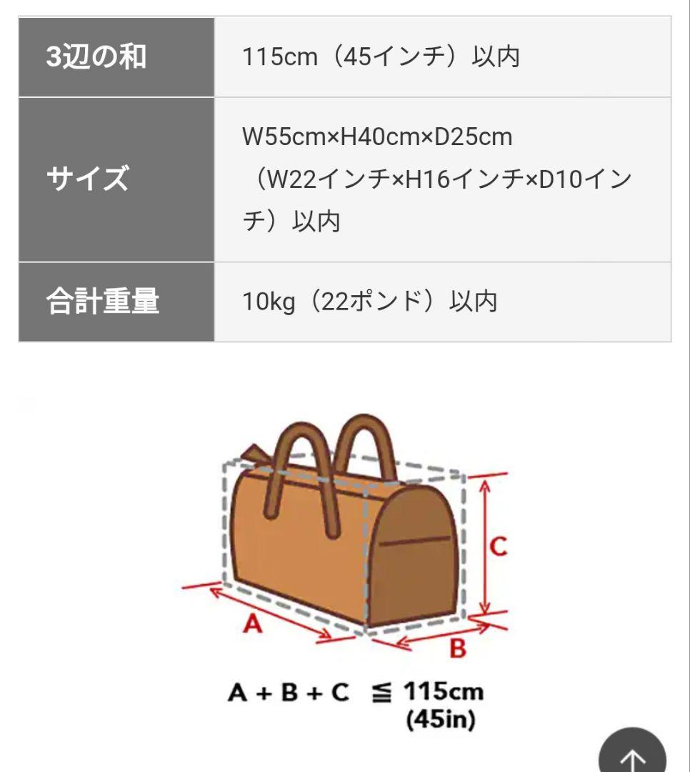 座れるスーツケース　ハピライド　機内持ち込み可能　ブルー