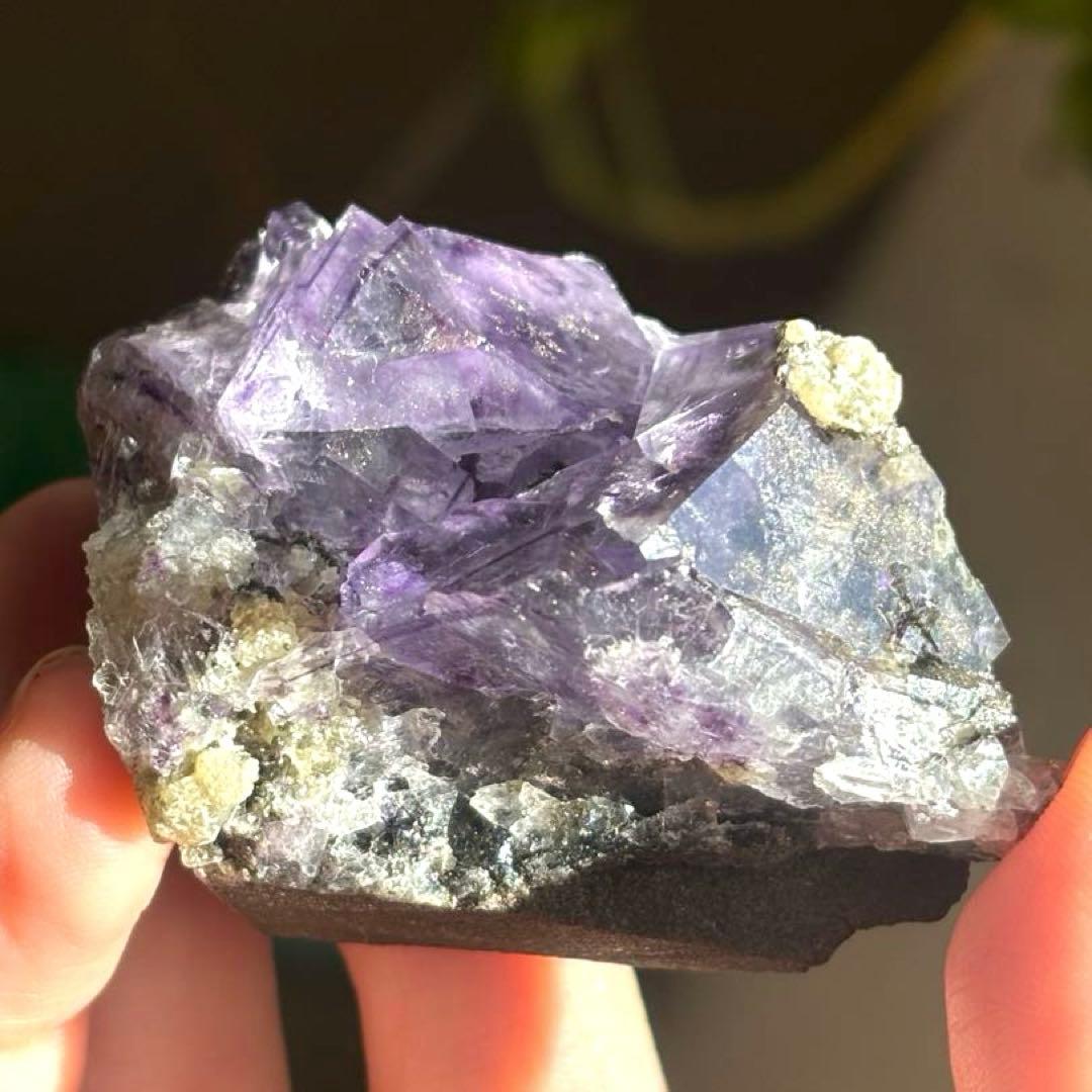 中国産　フローライト　パイライト　水晶　共生鉱物　原石　鉱物標本