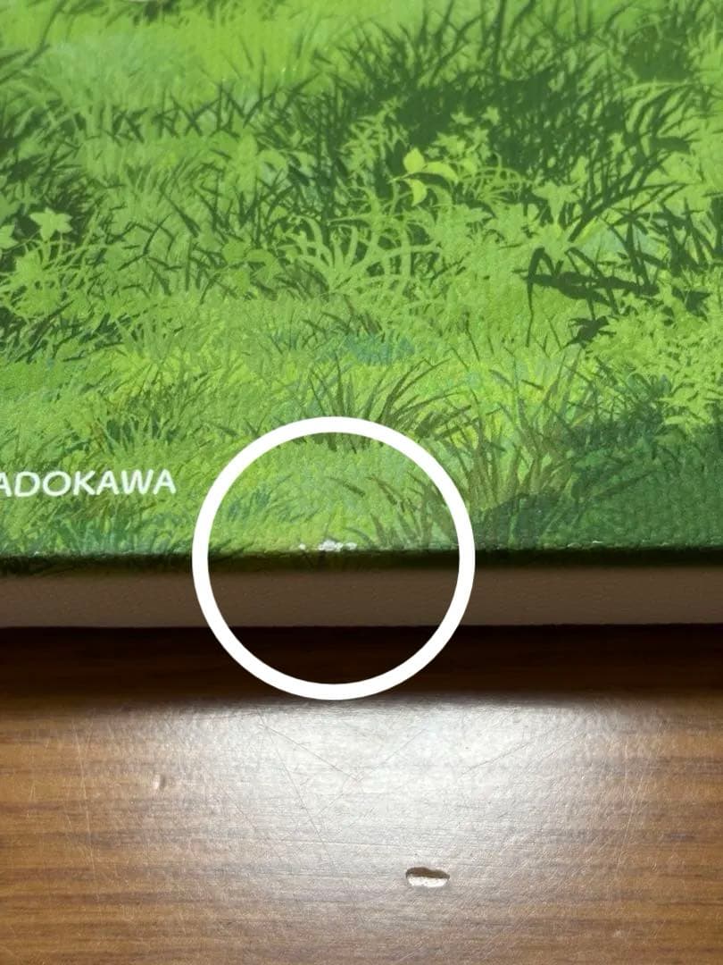 光が死んだ夏　キャンバスボード