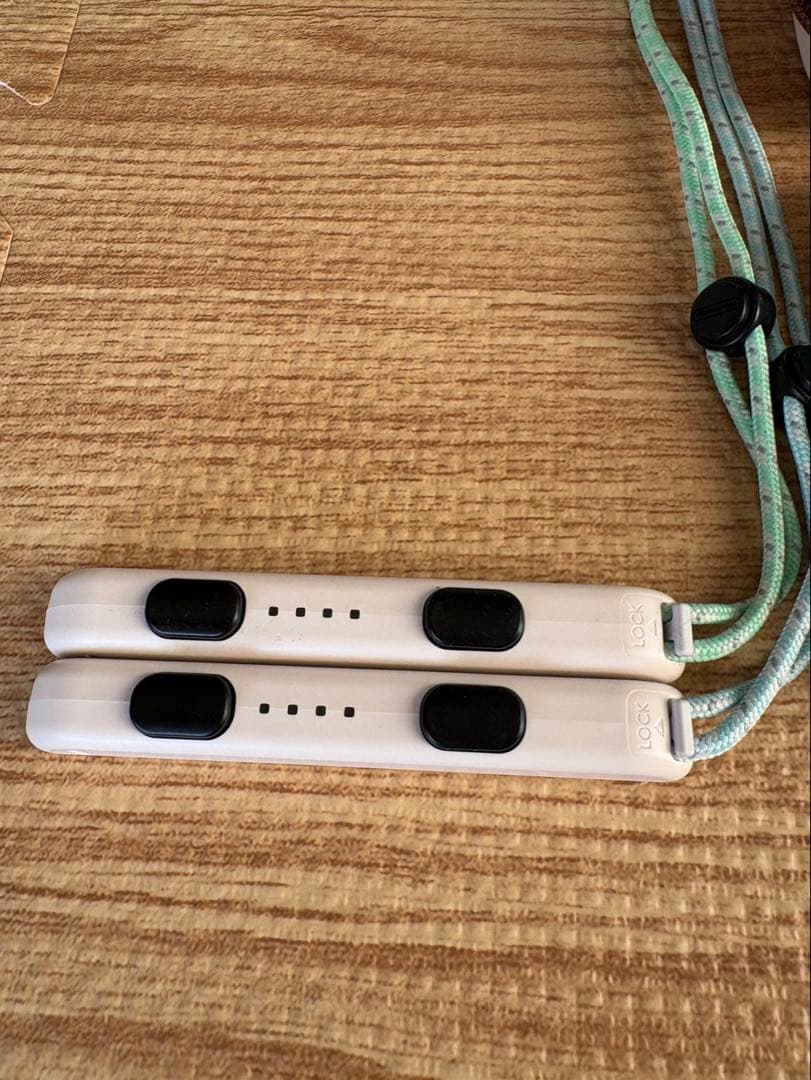 Nintendo Switch 本体 水色 どうぶつの森デザイン