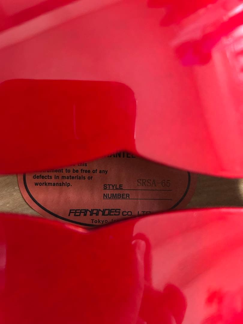 FERNANDES BUNNY SRSA-65 セミアコ　ハードケース付き