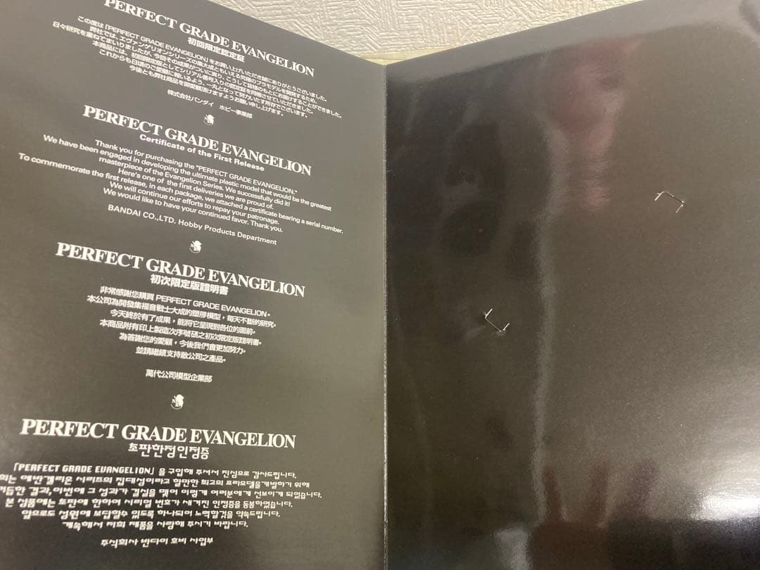 ジャンク品　パーフェクトグレード エヴァンゲリオン