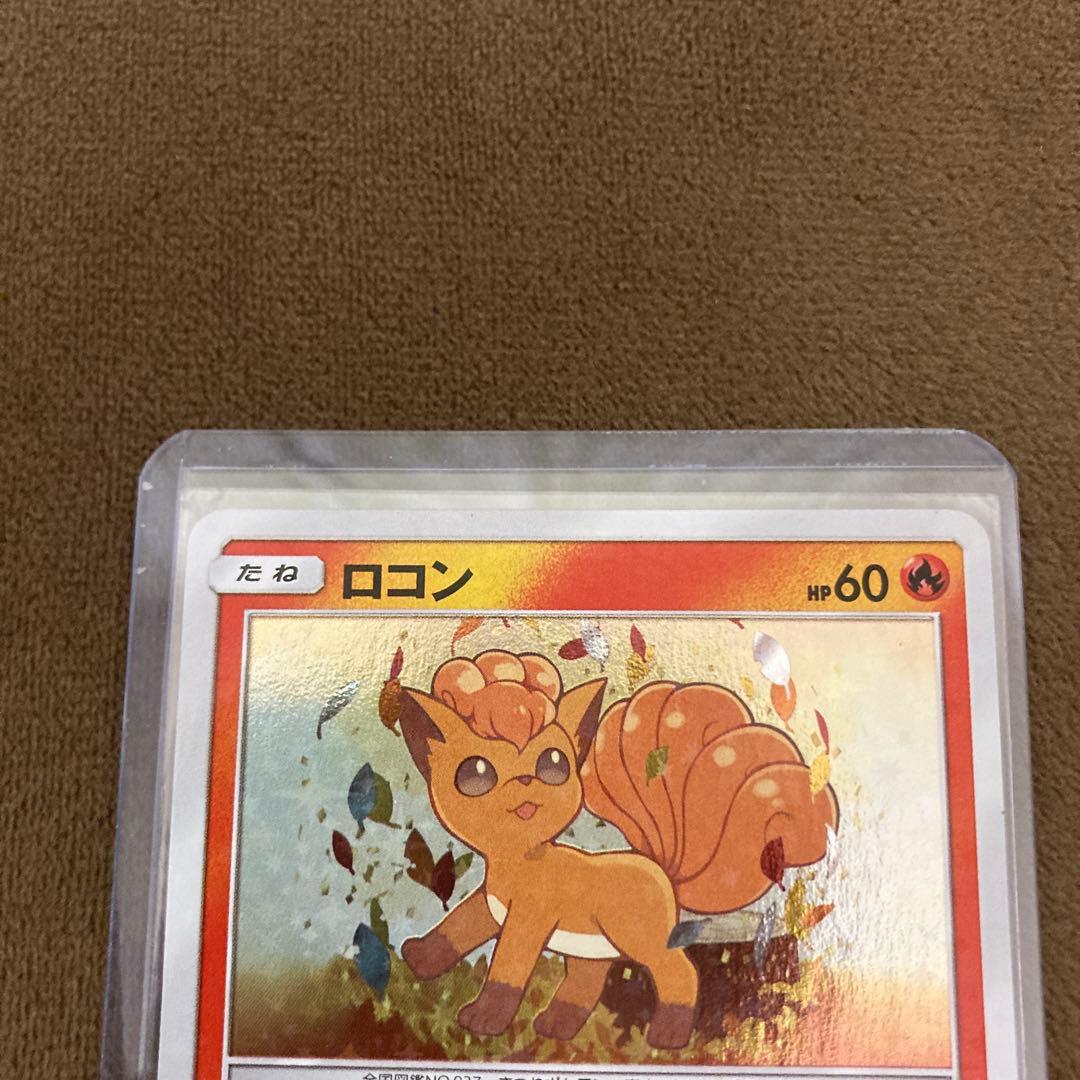 ポケモンカード ロコン PROMO SM-Pプロモカード 146/SM-P