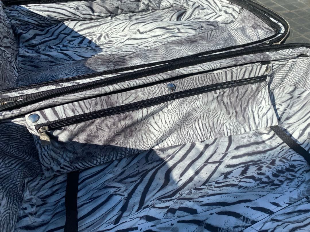 サムソナイト　アレクサンダーマックイーン　スーツケース　Samsonite