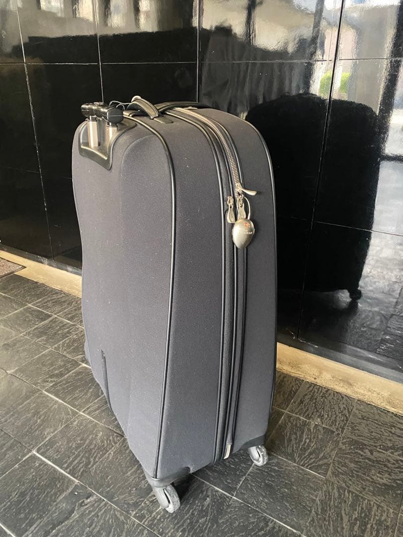 サムソナイト　アレクサンダーマックイーン　スーツケース　Samsonite