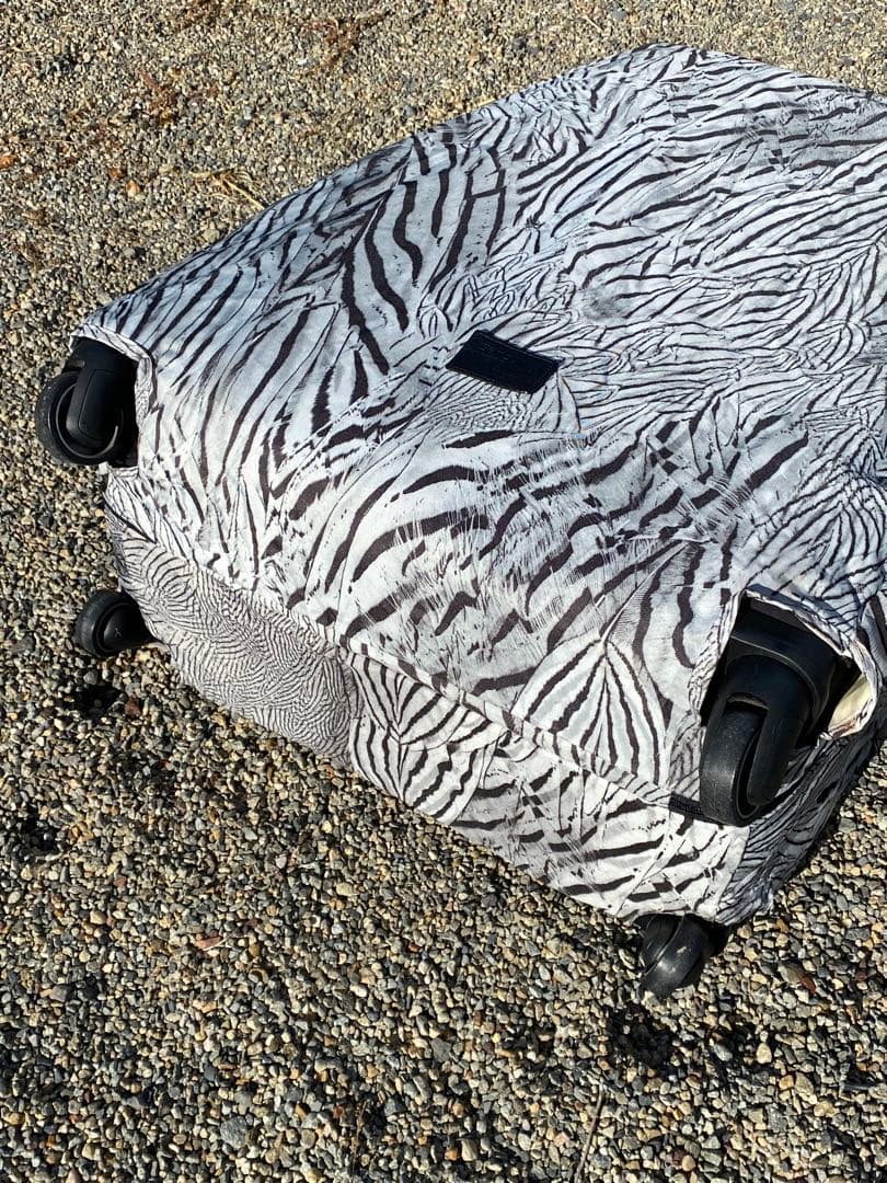 サムソナイト　アレクサンダーマックイーン　スーツケース　Samsonite