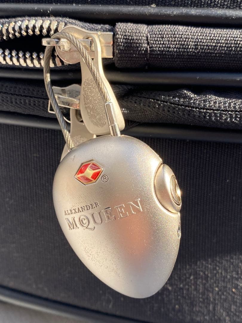 サムソナイト　アレクサンダーマックイーン　スーツケース　Samsonite