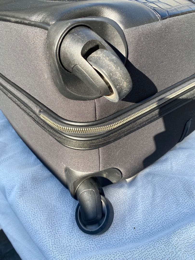 サムソナイト　アレクサンダーマックイーン　スーツケース　Samsonite