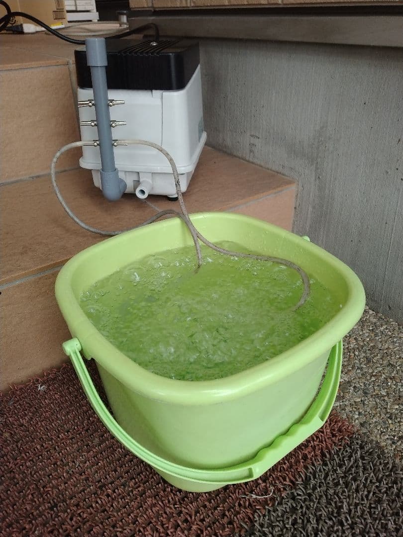 【安永（EP-80E-L）80L】 200 エアポンプ　ブロワー　浄化槽