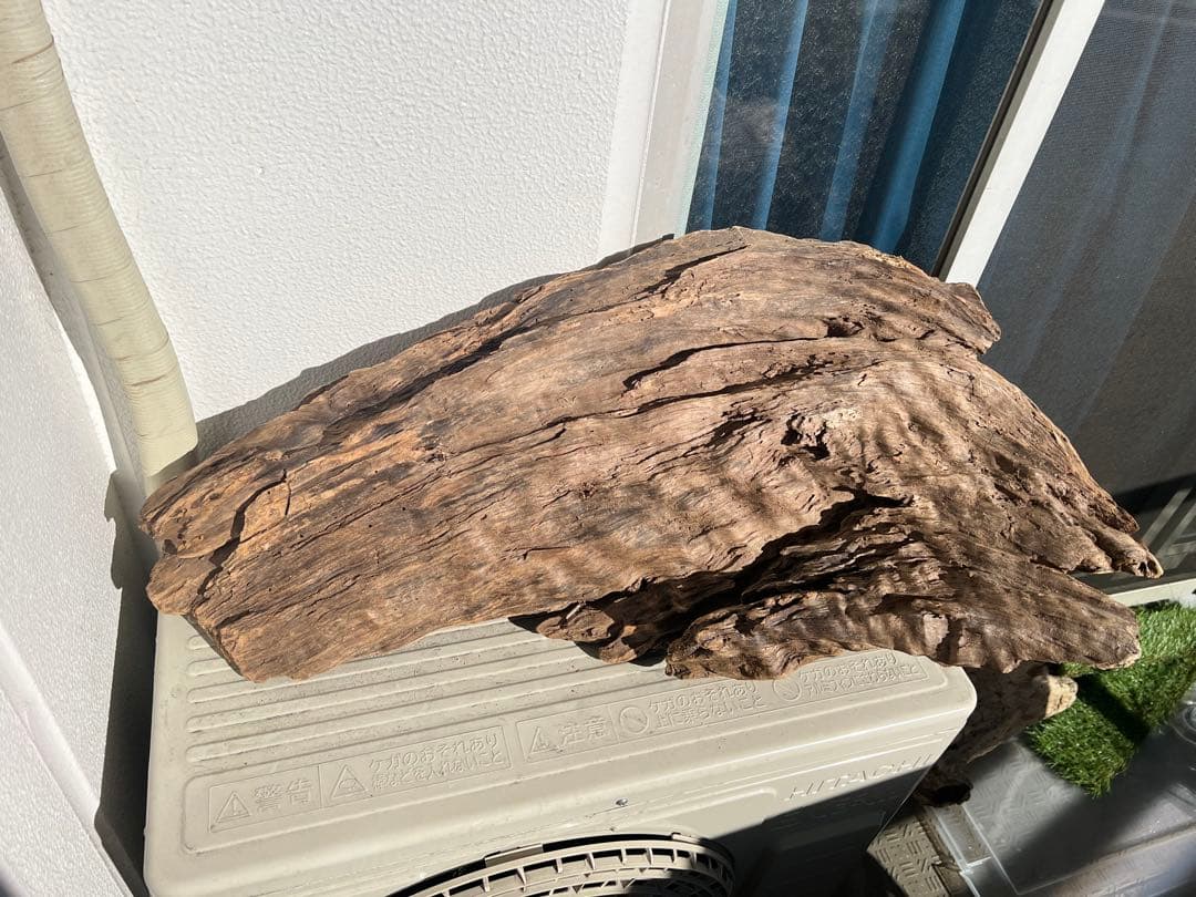 【大型流木】85cm アク抜き消毒済み