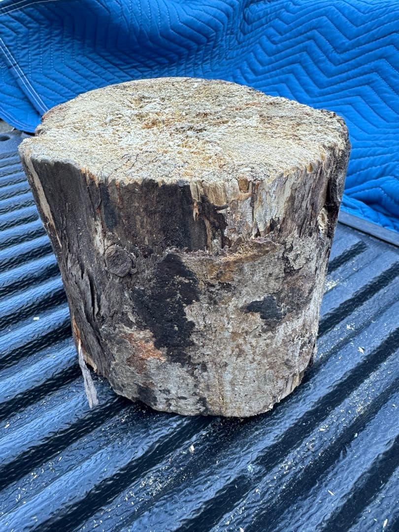 ベトナム材　VN材　15cm×20cm 産卵木