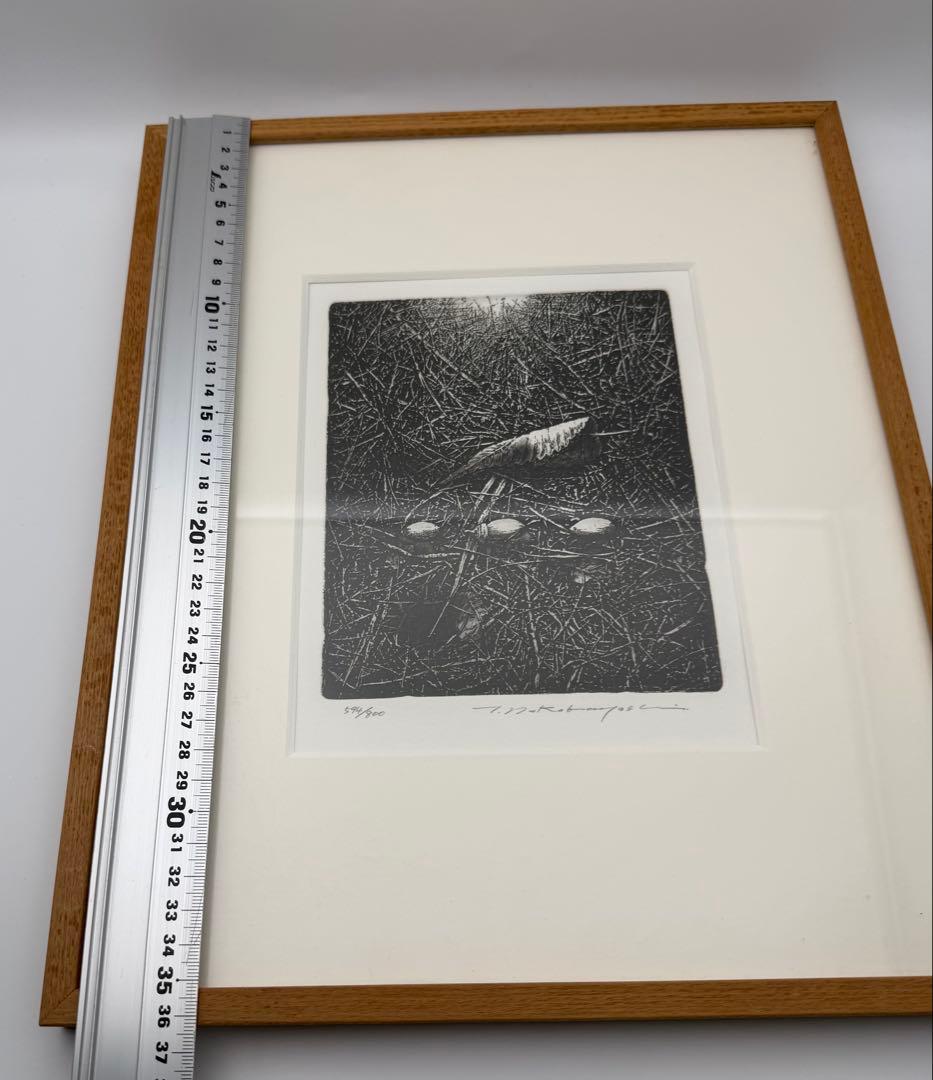 中林忠良 転位 '93 - 地 (種子) エッチング 594/800静物画　版画