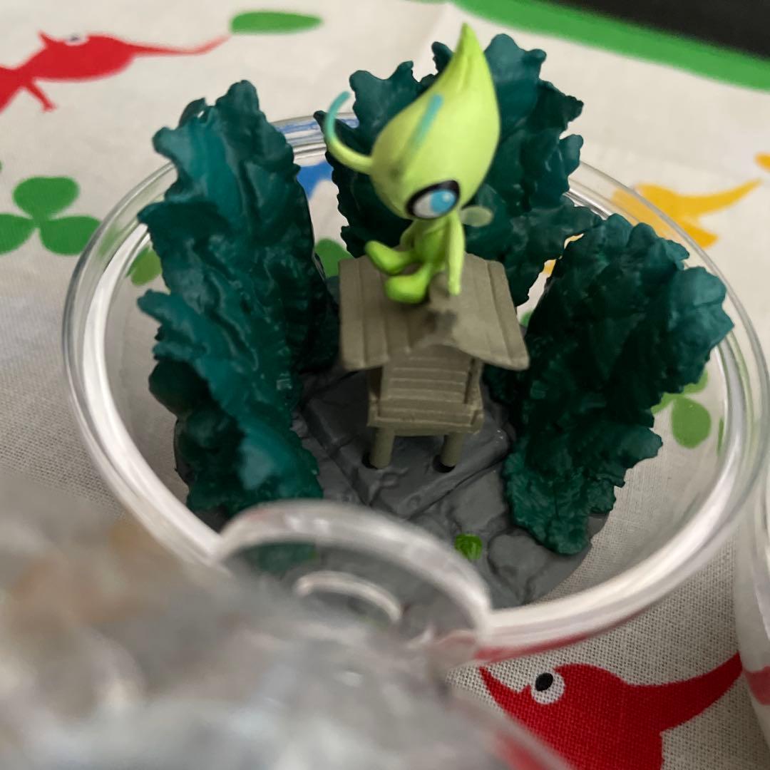 合計11個　ポケモンテラリウム4 +他6個　ブラッキーなし