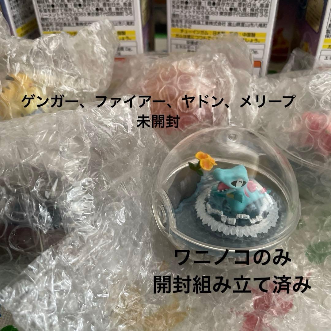 合計11個　ポケモンテラリウム4 +他6個　ブラッキーなし