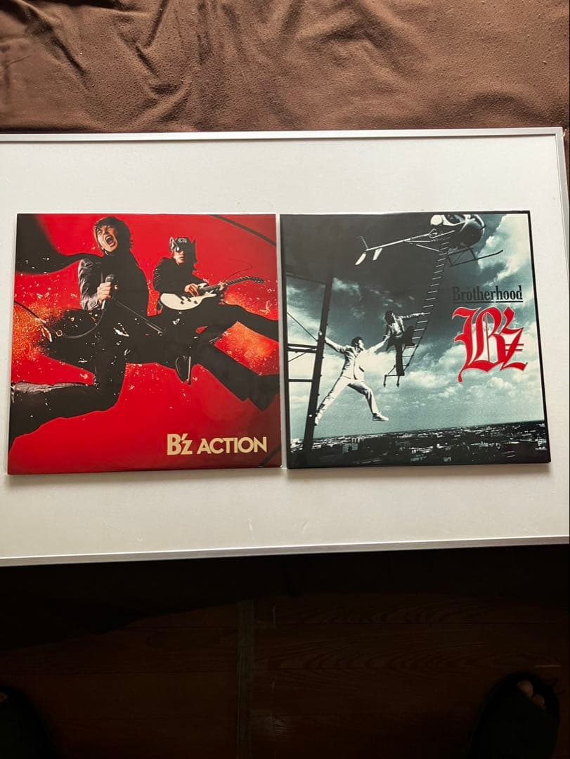 邦楽 B'z ACTION & Brotherhood