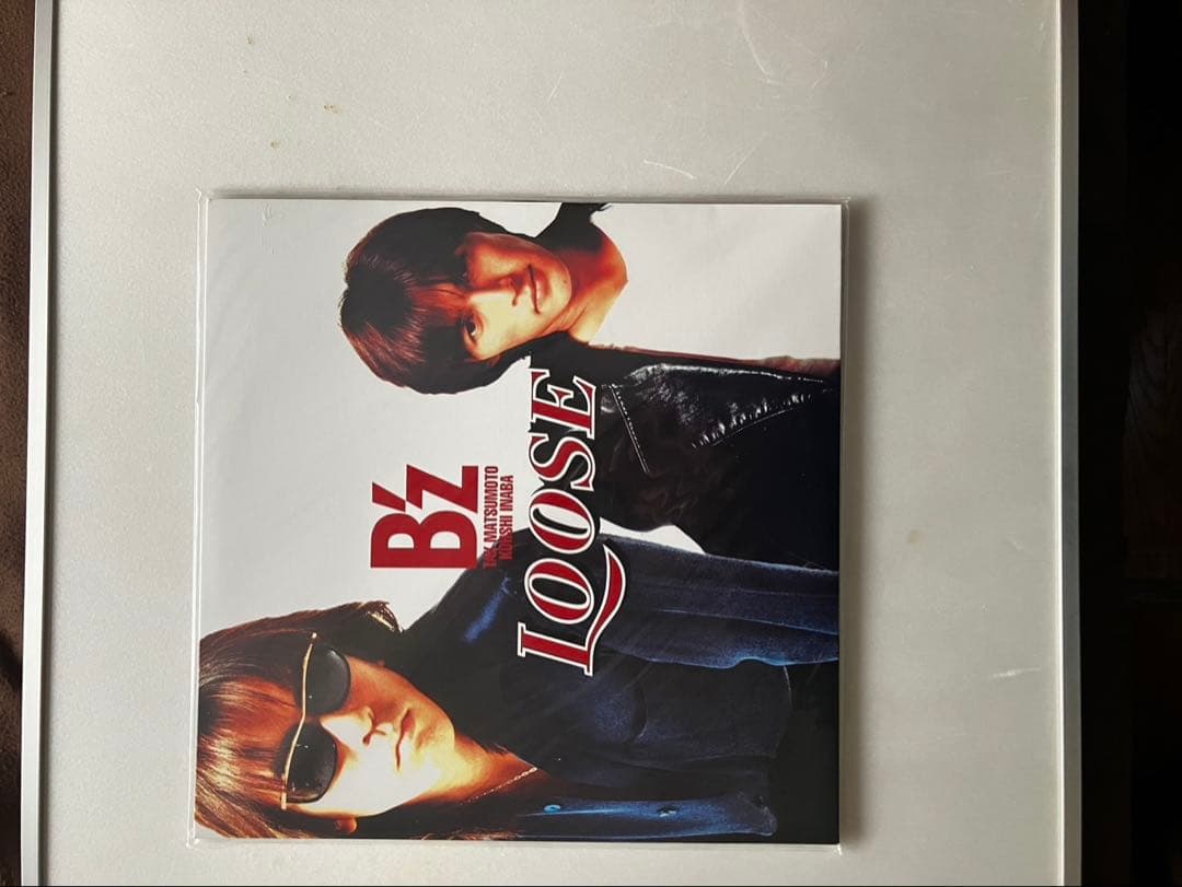 邦楽 B'z ACTION & Brotherhood
