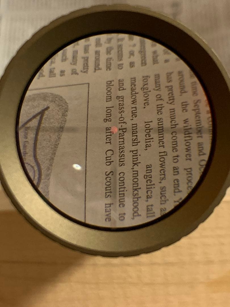 ノーベルアームズ　ABSOLUTE 1624 IR CQB F.D.E. 付属品