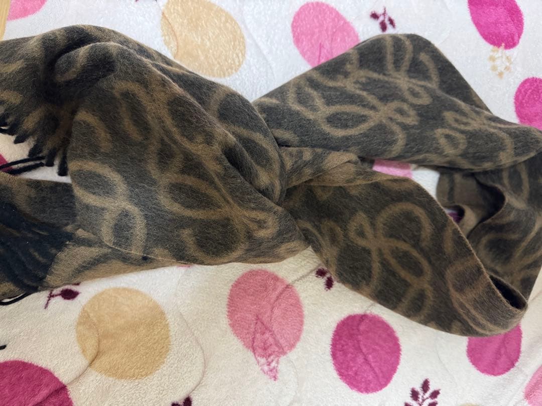 LOEWE ウールカシミヤマフラー ベージュ