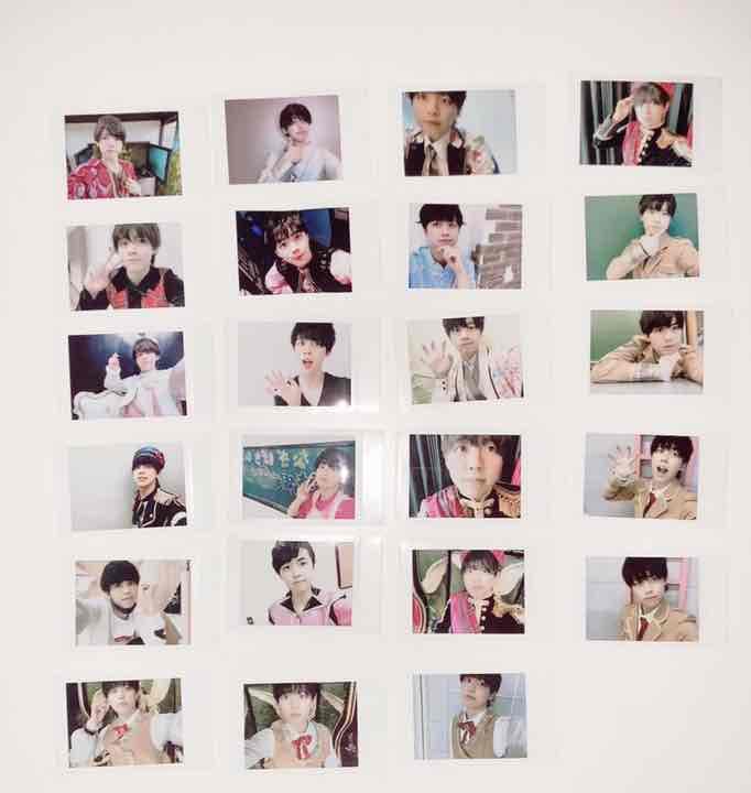 パラゴン パンダドラゴン チェキ