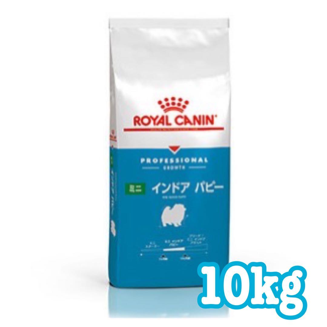  CANIN ミニインドアパピー 10kg