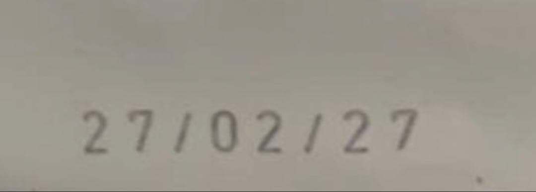  CANIN ミニインドアパピー 10kg