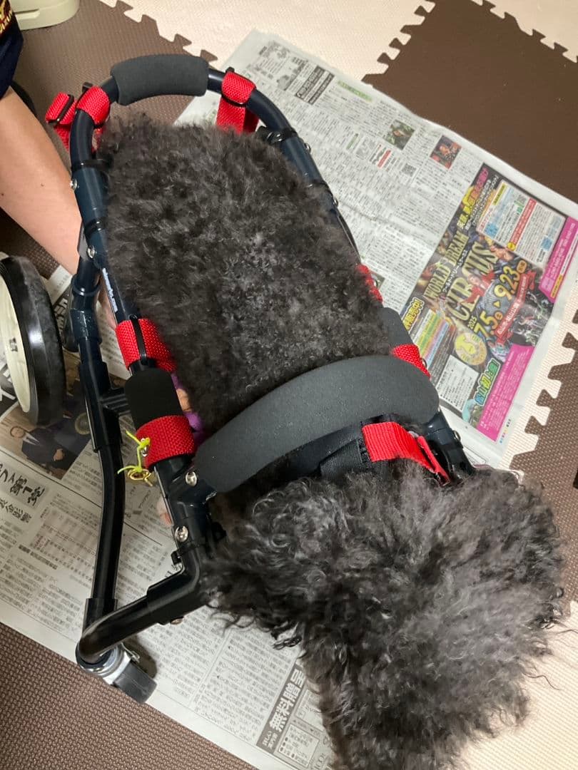 アドワークス　犬用車椅子 ドッグウォーカー 歩行器 補助具 ペット用車椅子