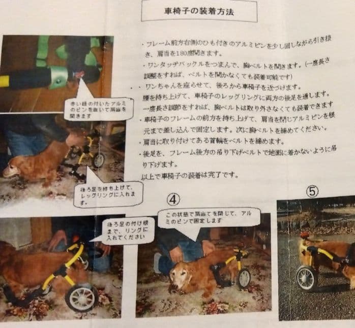 アドワークス　犬用車椅子 ドッグウォーカー 歩行器 補助具 ペット用車椅子