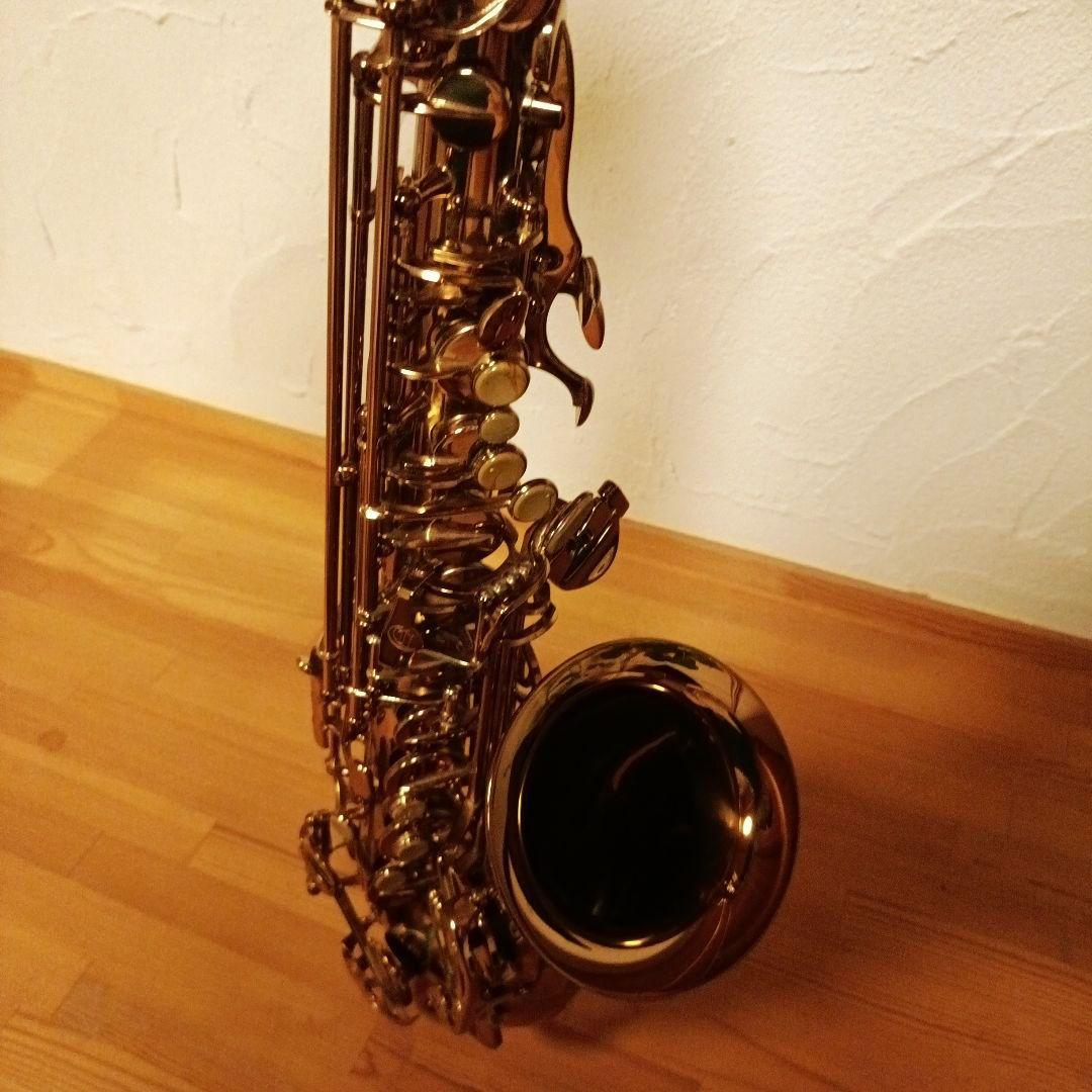 【1/5迄値下】キャノンボール ヴィンテージリボーンシリーズ アルト AVR-L