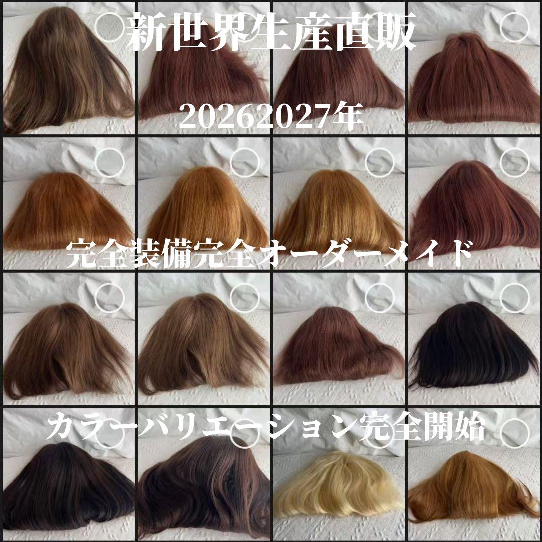 2026新世界　人毛　ウィッグ　フルウィッグ　シルクスキン　医療ウィッグ　レミー
