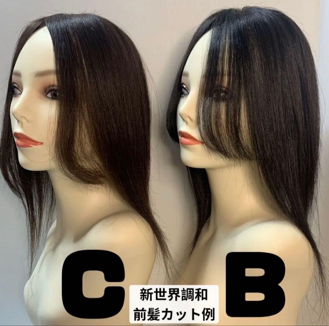 2026新世界　人毛　ウィッグ　フルウィッグ　シルクスキン　医療ウィッグ　レミー