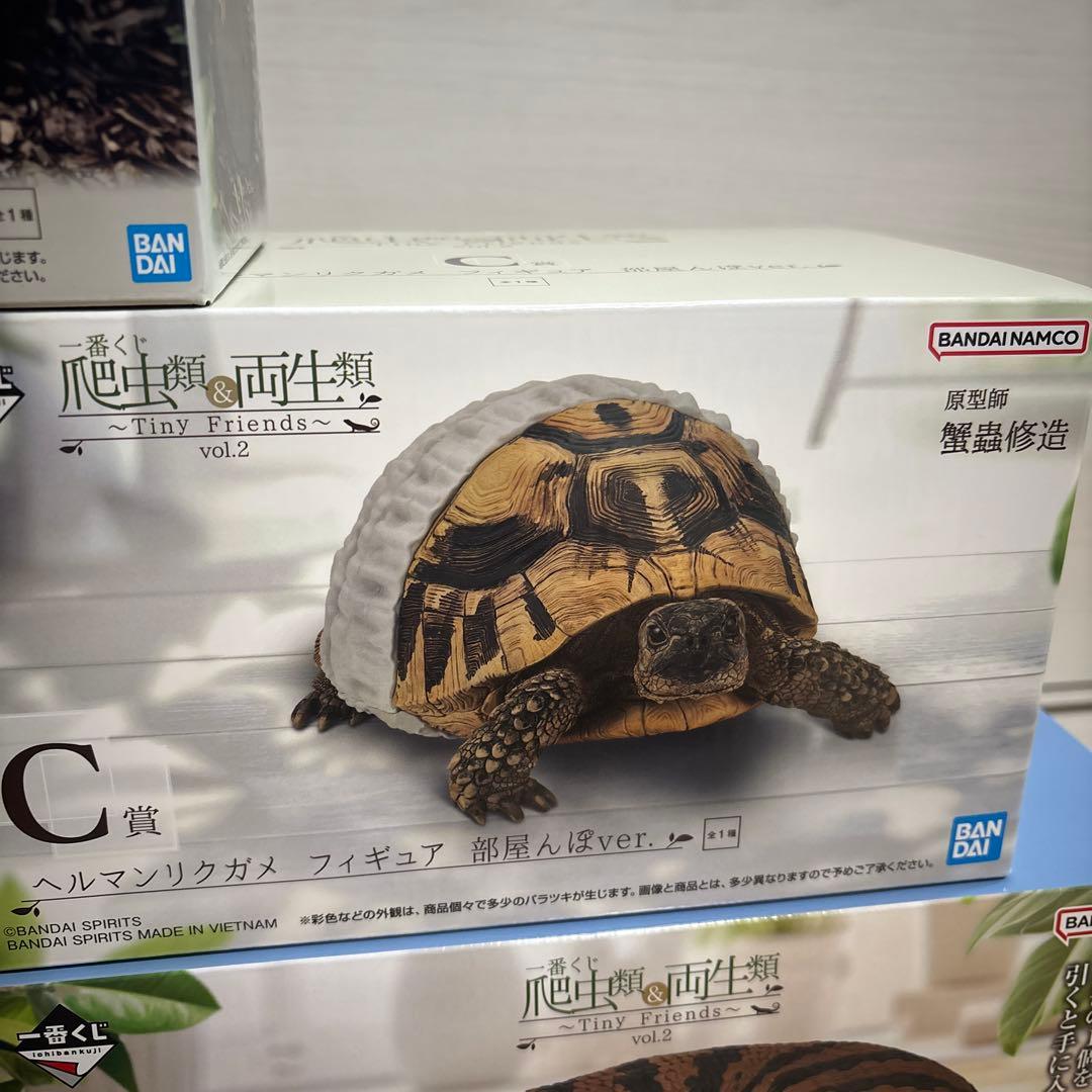 ABCDラストワン　セット