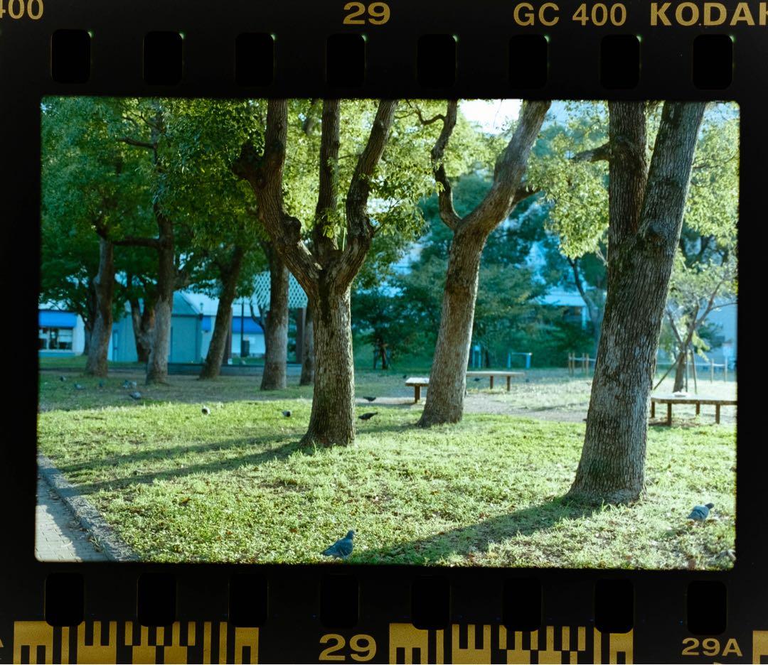 【整備品】Nikon F ブラック　アイレベル　フィルム一眼レフカメラ　ニコン