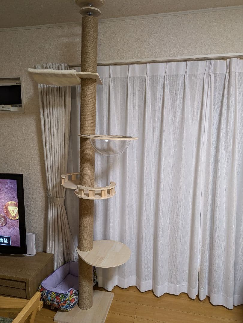 猫タワー
