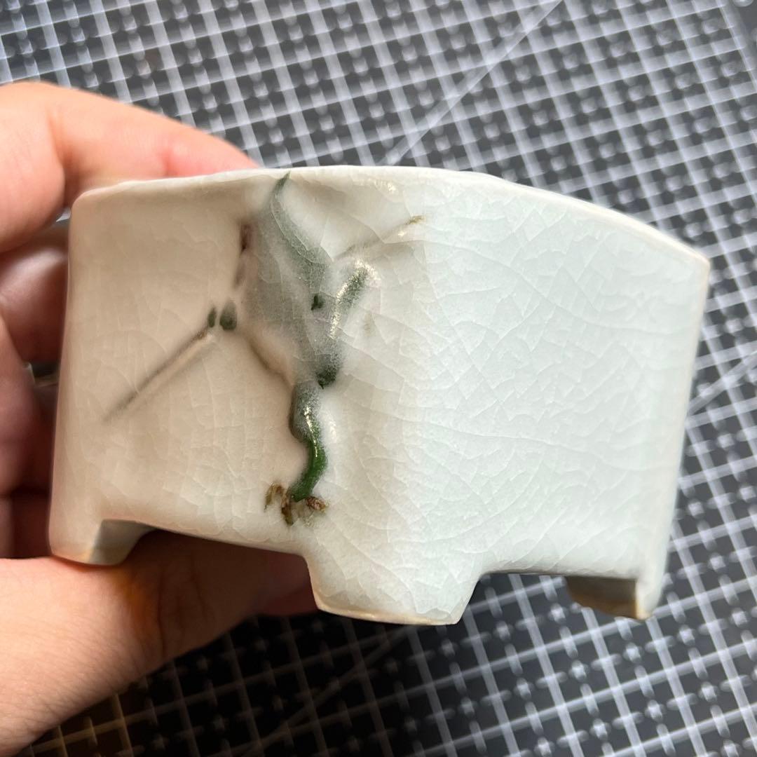 740.町直 五彩蛙切立長方 盆栽鉢 植木鉢 7.5*6.9*5.2cm