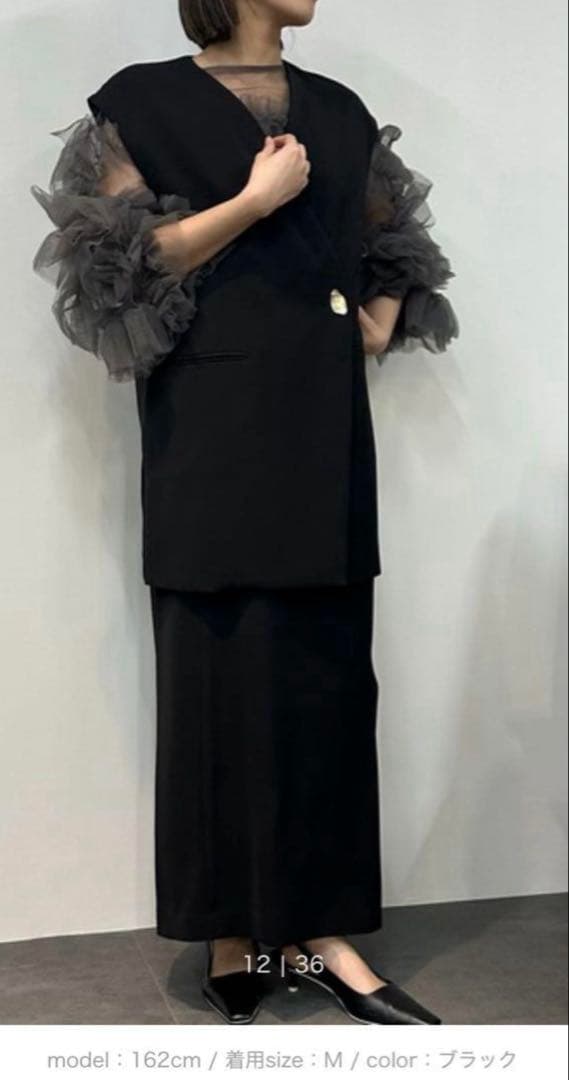 ANDRESD バックシアージレセットアップ　デコラティブチュールトップス