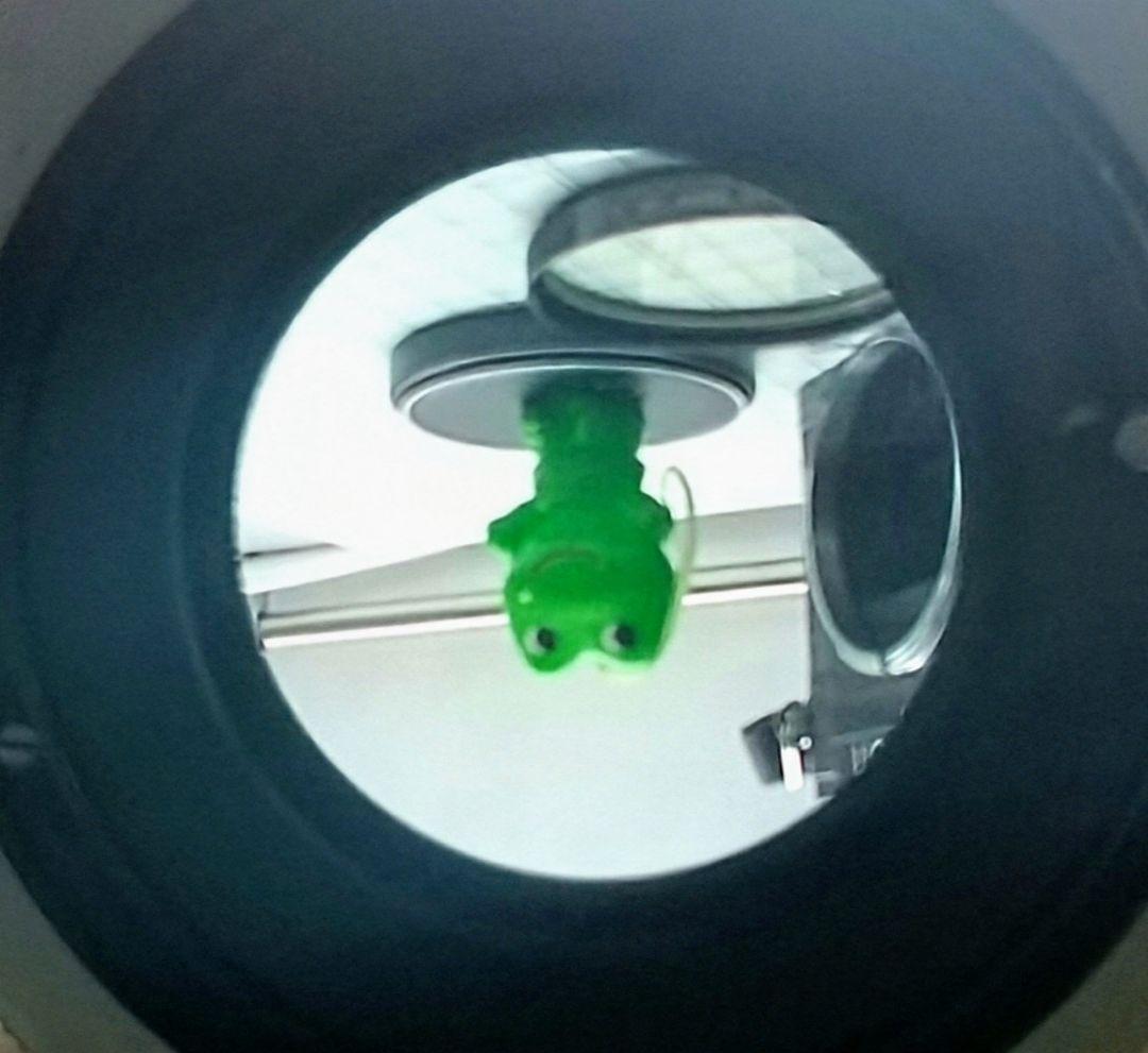 キャノン FT QL フィルム一眼レフカメラ