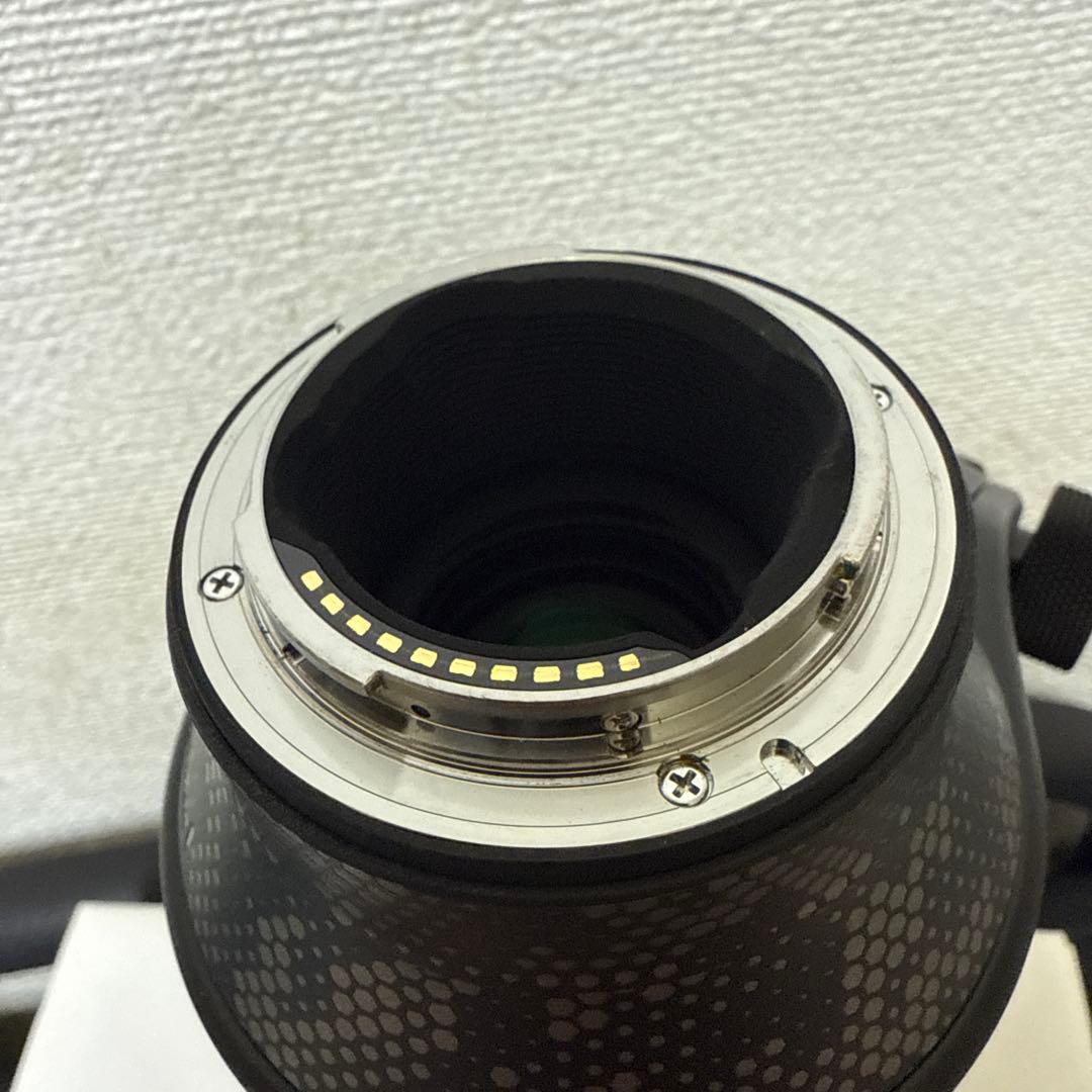 sigma 100-400mm F5-6.3 Eマウント