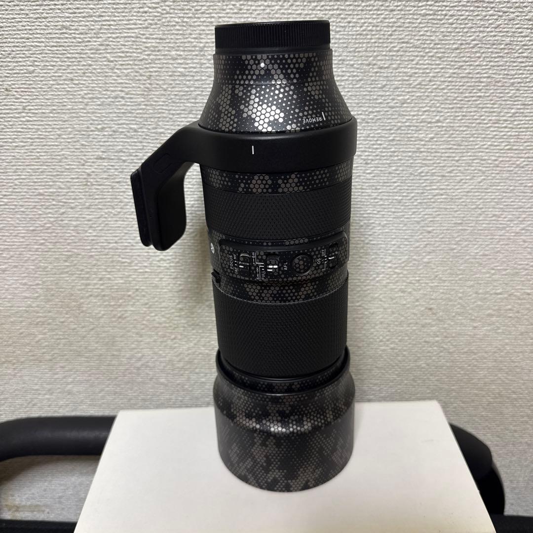 sigma 100-400mm F5-6.3 Eマウント