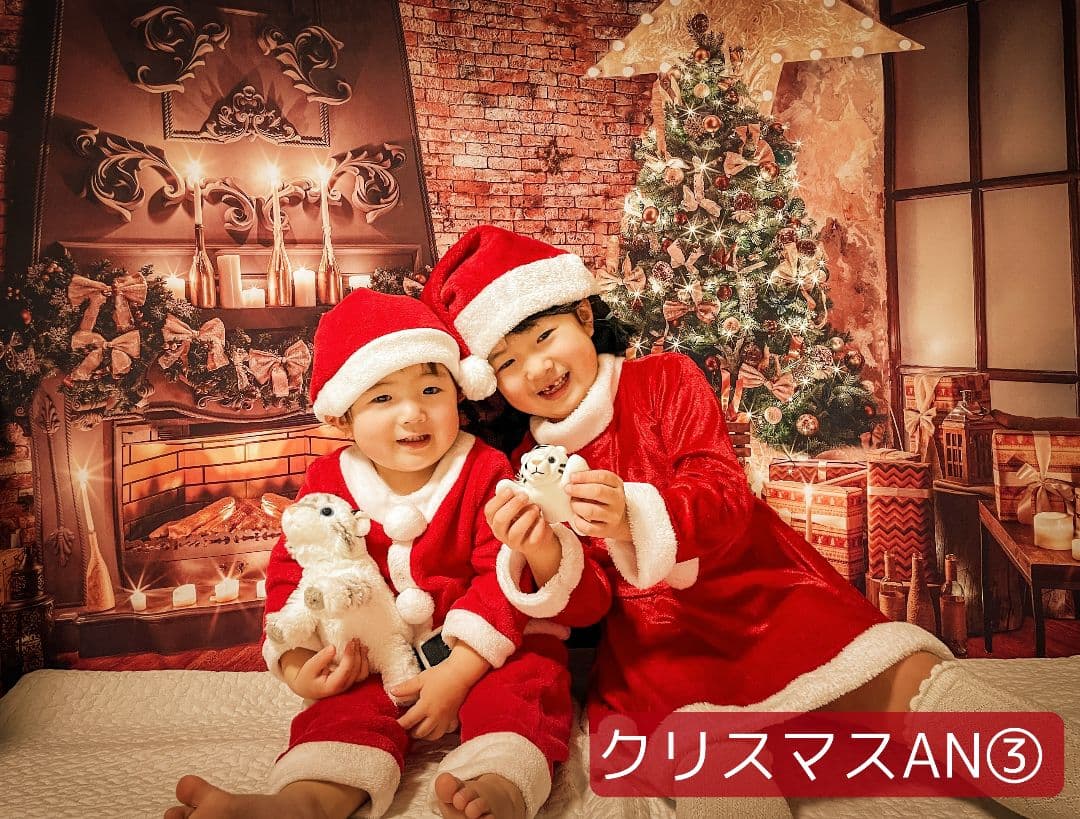 背景布×10+2　ペット撮影用フォトブース　トリミングチョーカー販売中　Xmas