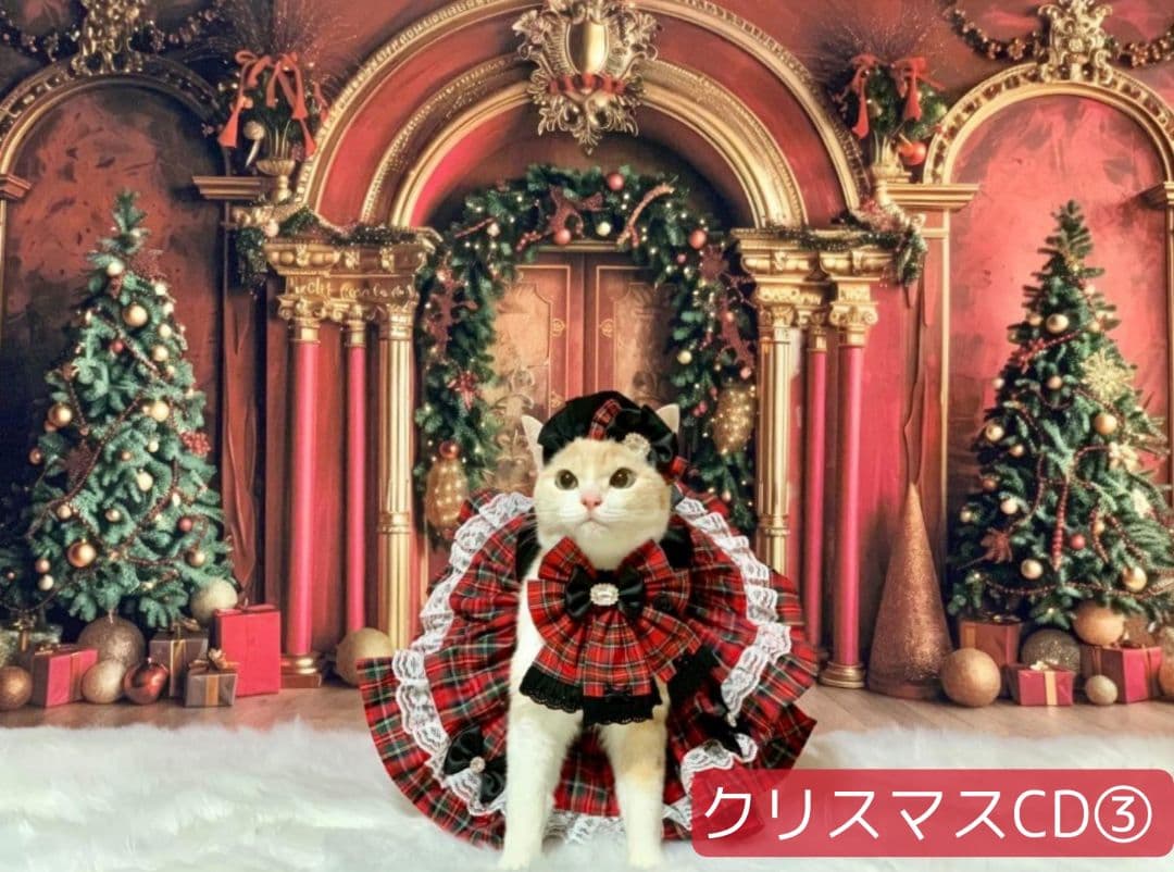 背景布×10+2　ペット撮影用フォトブース　トリミングチョーカー販売中　Xmas