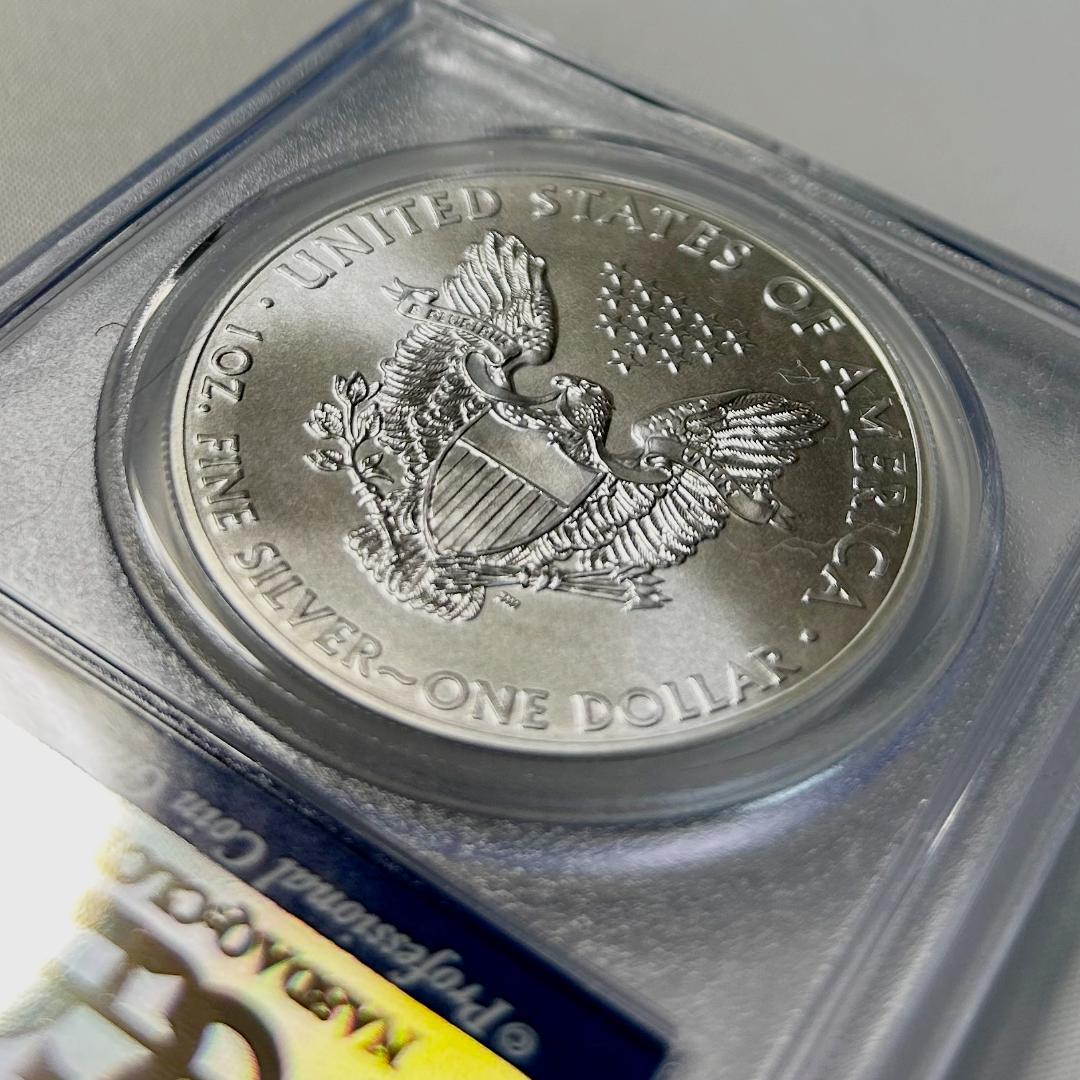 2013年 アメリカンイーグル PCGS MS70 　28258586