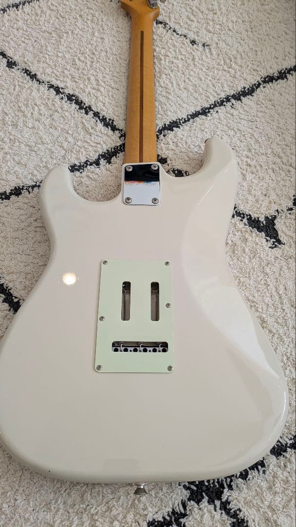 HISTORY TH-SV/R VWH フジゲン heritage wood