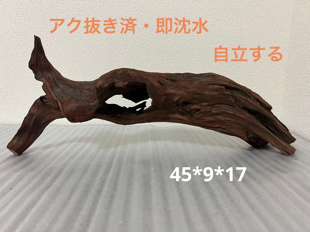 HX-075 流木　ホーンウッド　マシンガンウッド　アクアリウム　ブランチウッド
